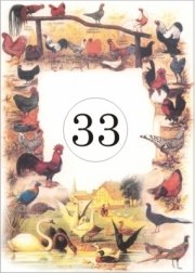33 BAROMFI VEGYES
