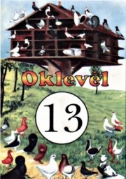 13 dszgalambos